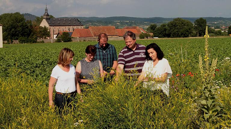 Die Vertreter des Bauernverbandes in einer blühenden „Beetle Bank“  mit (von links) Kreisbäuerin Cäcilie Werner (Haßberge), Kreisbäuerin Margit Ziegler und Vorstandsmitglied Matthias Dellert (Bad Neustadt), BBV-Kreisobmann Klaus Merkel (Haßberge) und MdB Dorothee Bär vor dem Universitätsgut Mariaburghausen.