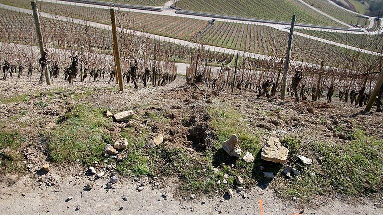 Ein abgestürzter Felsblock hat im Weinberg bei Thüngersheim eine tiefe Furche hinterlassen. Ein abgestürzter Felsblock hat im Weinberg bei Thüngersheim eine tiefe Furche hinterlassen.