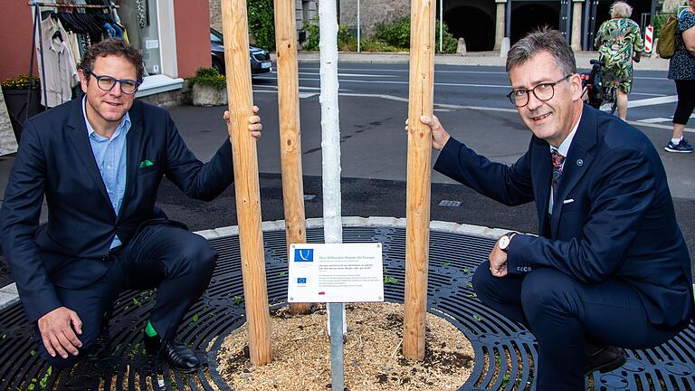 Oberbürgermeister Christian Schuchardt (re.) und Bürgermeister Martin Heilig mit einem der Bäume, die für die EU-Aktion gepflanzt wurden.