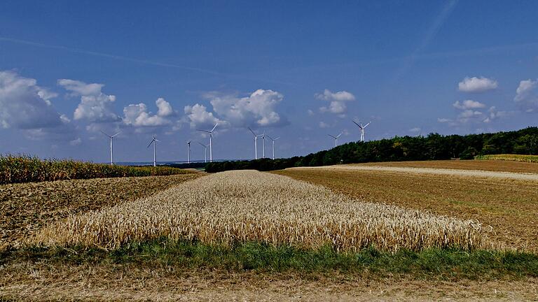 Getreidestreifen, die Feldhamstern bis in den Herbst Nahrung bieten, sind Teil des von Landwirten und Landschaftspflegeverband umgesetzten Artenhilfsprogramms. Unser Archivbild entstand bei Schwanfeld (Lkr. Schweinfurt).