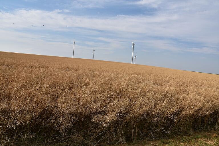 Wie lange können auf dem geplanten  22 Hektar großen Industriegebiet in Creglingen Frauental noch landwirtschaftliche Produkte angebaut werden?