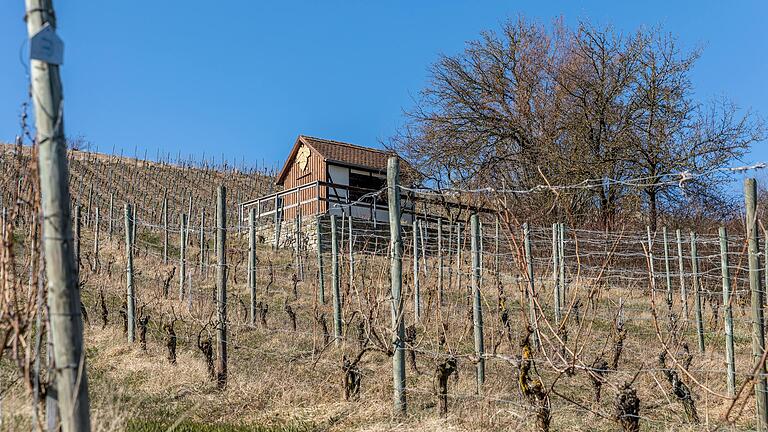 Rast am Museumsweinberg, der die Dreipfahlerziehung und damit die ursprüngliche Art des Weinanbaus veranschaulicht. Rast am Museumsweinberg, der die Dreipfahlerziehung und damit die ursprüngliche Art des Weinanbaus veranschaulicht.