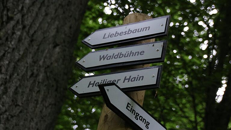 Baumfällarbeiten im Wald für die Seele sorgen für Streit zwischen der Stadt Bad Kissingen und der Stiftung für Bewusstseinswissenschaften. Foto: Teresa Hirschberg       -  Baumfällarbeiten im Wald für die Seele sorgen für Streit zwischen der Stadt Bad Kissingen und der Stiftung für Bewusstseinswissenschaften. Foto: Teresa Hirschberg