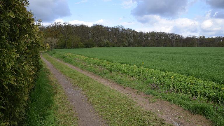 Angrenzend an die Siedlung am Altfeldweg will die Gemeinde Euerbach das Baugebiet Am Steigholz im sogenannten beschleunigten Verfahren erschließen.