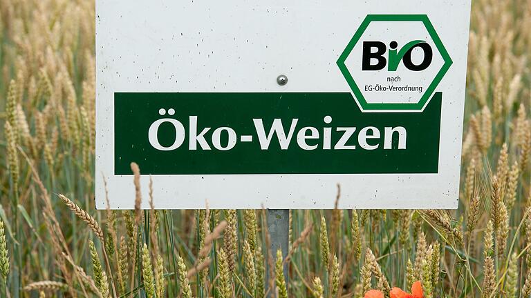 Öko-Weizen - Der Ökolandbau ist in Bayern trotz gesetzlich festgelegter Ausbauziele noch immer eher die Ausnahme als die Regel. (Archivbild) Öko-Weizen - Der Ökolandbau ist in Bayern trotz gesetzlich festgelegter Ausbauziele noch immer eher die Ausnahme als die Regel. (Archivbild)