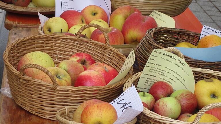 Alte Apfelsorten aus der Region schmecken nicht nur gut, sie sind auch sehr gesund.