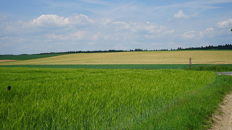 In diesem Bereich ist der Solarpark Birkenfeld geplant.