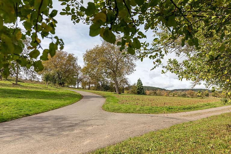 Für alle, die gerne in der Natur unterwegs sind, ist Margetshöchheim der ideale Ausgangspunkt für kurze oder weite Wanderungen. In alle vier Himmelsrichtungen gibt es gut ausgebaute Wanderwege.&nbsp;