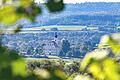 So wird er sich dem Betrachter bieten, der Blick aus den Weinbergen um Ziegelanger und Steinbach auf die Wallfahrtskirche Maria Limbach auf der gegenüberliegenden Mainseite.