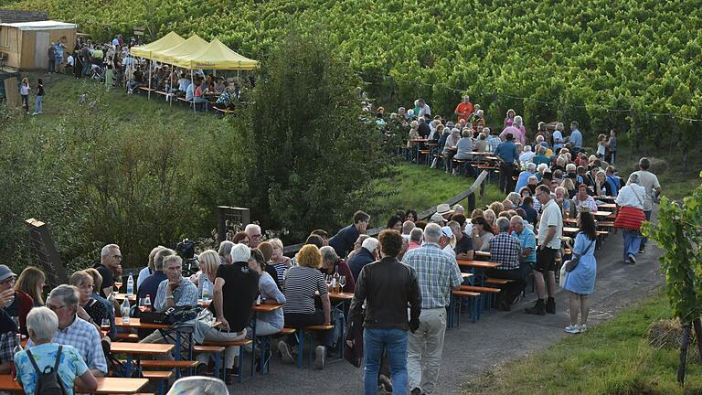 Das Bild zeigt einen Ausschnitt des Festgeländes mit den vielen Besuchern.