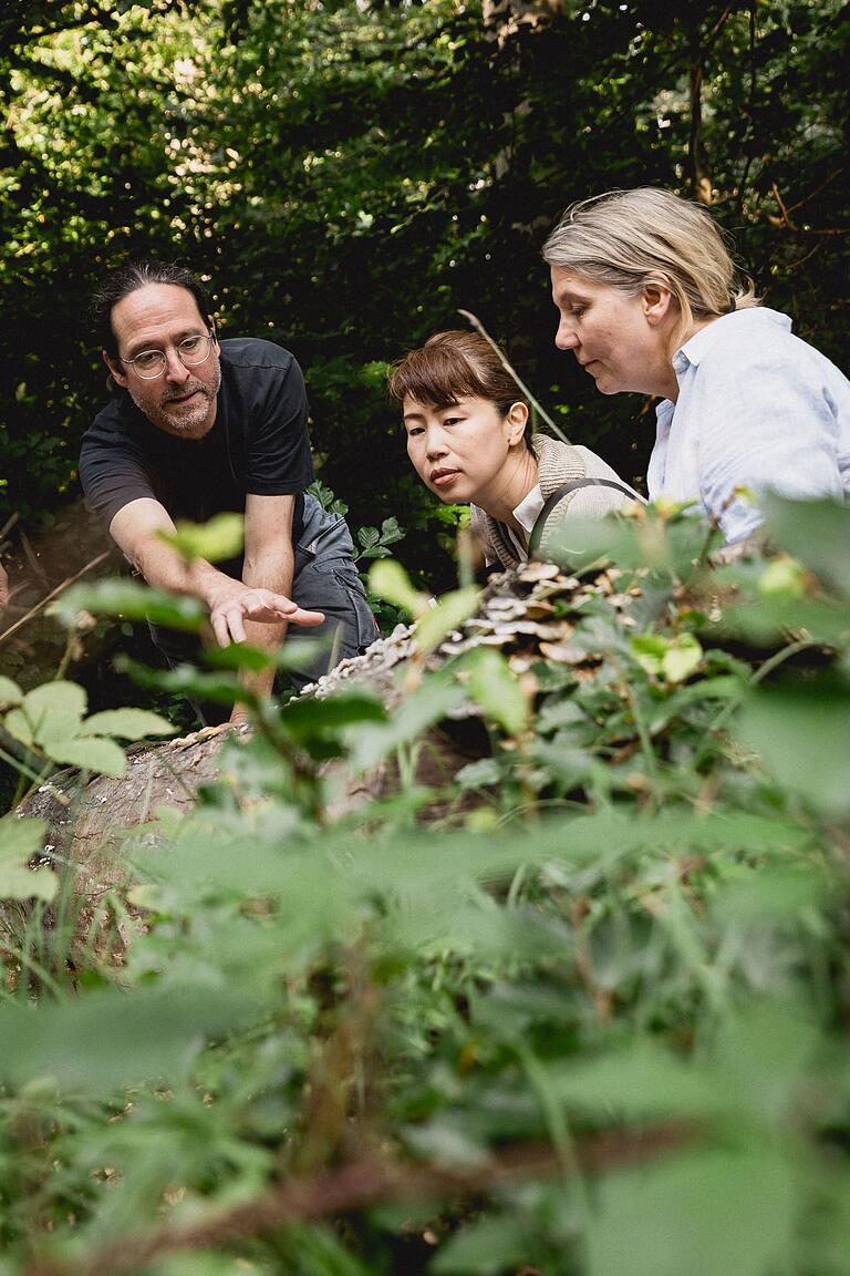 Die japanische Künsterlin Asuka Hishiki beim Besuch des Waldes der Universität Würzburg in Sailershausen in den Haßbergen im Sommer 2023, hier im Gespräch mit dem Wissenschaftler Michael Junginger und der Künstlerin Sylvia Peter.