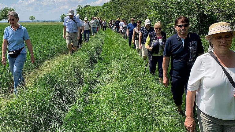 'Im schönsten Wiesengrunde' wanderten zahlreiche Heimatfreunde, um historische Flurnamen aus Wiesenbronn kennenzulernen.