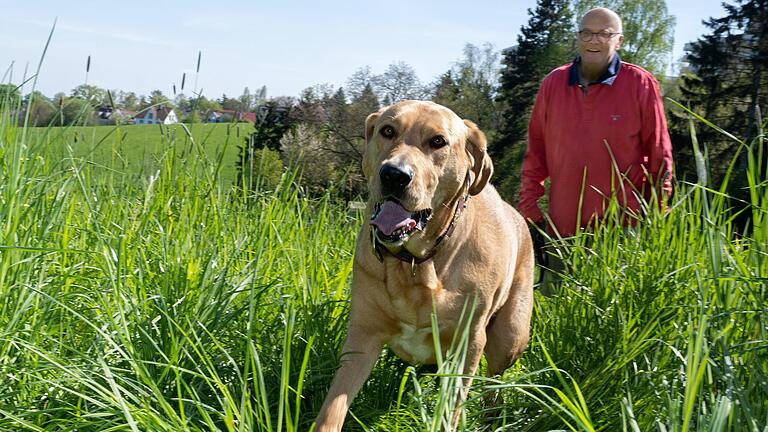 Hündin Frida und ihr Herrchen Detlev Horn: Die Hündin wurde hier,&nbsp; mitten im Schweinfurter Wohngebiet unterhalb des Altenheims St. Elisabeth, von einem Keiler angegriffen.&nbsp;