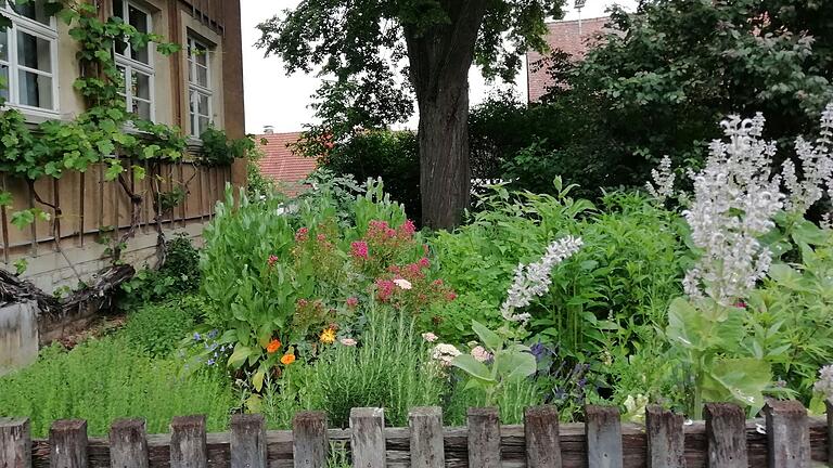 Bei einer Führung durch den Kräutergarten können Teilnehmende mehr über Heilpflanzen erfahren.