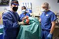 Schweine-Transplantation       -  Im Jahr 2022 erhielt ein Mann in den USA ein Schweineherz. (Archivbild)