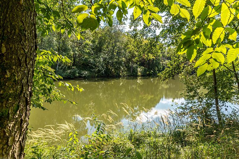 Unterwegs auf der 6,8-Kilometer langen Wander-Runde 'Verwunschen verwunschen' zwischen Schwebheim und Grafenrheinfeld. Unterwegs auf der 6,8-Kilometer langen Wander-Runde 'Verwunschen verwunschen' zwischen Schwebheim und Grafenrheinfeld.