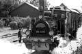 Die letzten Fahrten des Jahres: Auf der Museumsbahnstrecke zwischen Fladungen und Mellrichstadt verkehrt das Rhön-Zügle am 20. Oktober mit der Dampflok „89 7373“ und Waggons aus den 1930-er Jahren.