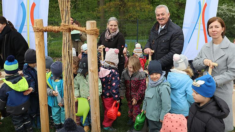 Der Jahrgangsbaum für die Kinder des Geburtenjahrgangs 2023.