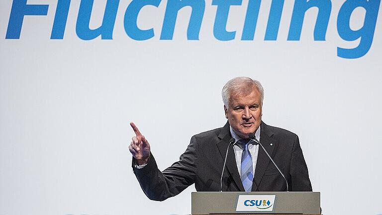 Ein Jahr neues Abschiebegesetz       -  Der damalige bayerische Ministerpräsident Horst Seehofer (CSU) spricht am 10. Oktober 2015 beim CSU-Kongress in Erding zur Flüchtlingspolitik. Archivfoto: Picture Alliance, dpa