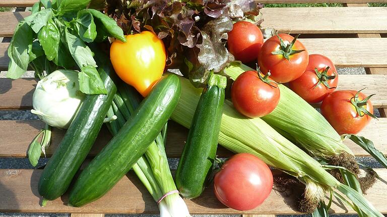 Bunt und knackig: So sah ein kleiner Ernteteil in diesem Sommer aus.