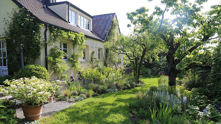 Den Trockengarten hinter dem Haus hat Simone Angst-Muth 2018 angelegt: Dort blüht es in vielen Farben – und das, obwohl die Pflanzen dort alle mit wenig Wasser auskommen. Den Trockengarten hinter dem Haus hat Simone Angst-Muth 2018 angelegt: Dort blüht es in vielen Farben – und das, obwohl die Pflanzen dort alle mit wenig Wasser auskommen.