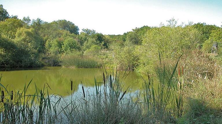 Schützenswert: Wo früher eine kraterähnliche Landschaft vorzufinden war, sind heute Biotope für kleine Lebewesen.