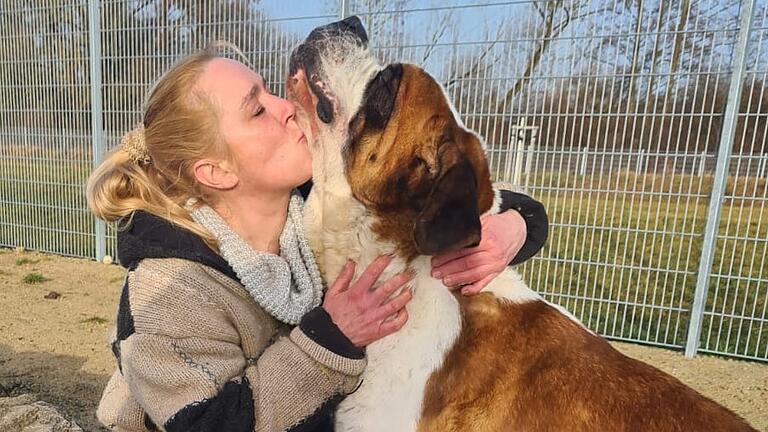 Ein Herz und eine Seele: Tierheim-Leiterin Britta Merkel hat eine besondere Beziehung zu Bernhardiner 'Mäuschen' aufgebaut.