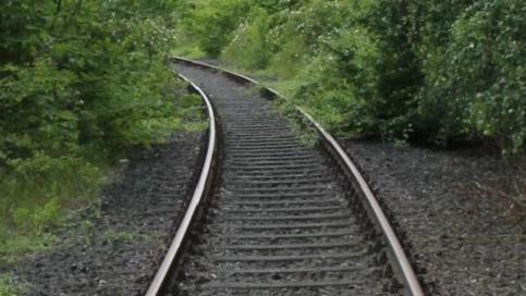 So frei wie auf diesem Abschnitt sind die Gleise der Steigerwaldbahn in und um Gerolzhofen nur selten.