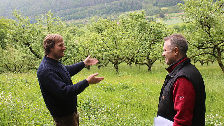 Zufrieden mit der Entwicklung der Streuobstwiese oberhalb von Rodenbach: Der städtische Umweltbeauftragte Manfred Wirth (rechts) und Krischan Cords, Geschäftsführer der Main-Streuobst-Bienen eG, inspizieren eine der Flächen, die die Genossenschaft von der Stadt Lohr gepachtet hat.