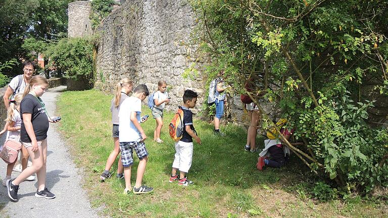 Das Ferienangebot „Geocaching“ des Rhönklub Mellrichstadt machte den Kindern großen Spaß. Bei der Schatzsuche nach dem altbewährten Muster „Schnitzeljagd“ auf einem Rundkurs mit 14 Etappen um die Altstadt herum legten die Grundschulkinder unter Anleitung von Ulli Sterzinger auf abwechslungsreiche Weise locker einige Wanderkilometer Strecke zurück.