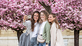Einige Menschen tummeln sich am Sonntag (13.04.25) im Hofgarten der Residenz in Würzburg. Die Kirschblüte lockt jedes Jahr im April viele Besucher in die Gartenanlage.