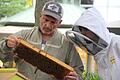 Bienen in New York       -  Imker Andrew Coté (l.) checkt gemeinsam mit einem Helfer die Bienenstöcke im New Yorker Bryant Park. Imkern in New York wird immer beliebter.