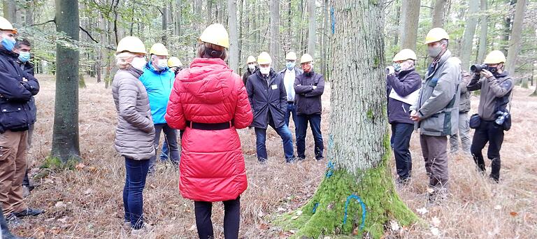 Grasbewuchs, wo er nicht hingehört&nbsp; im Wald bei Greßthal.