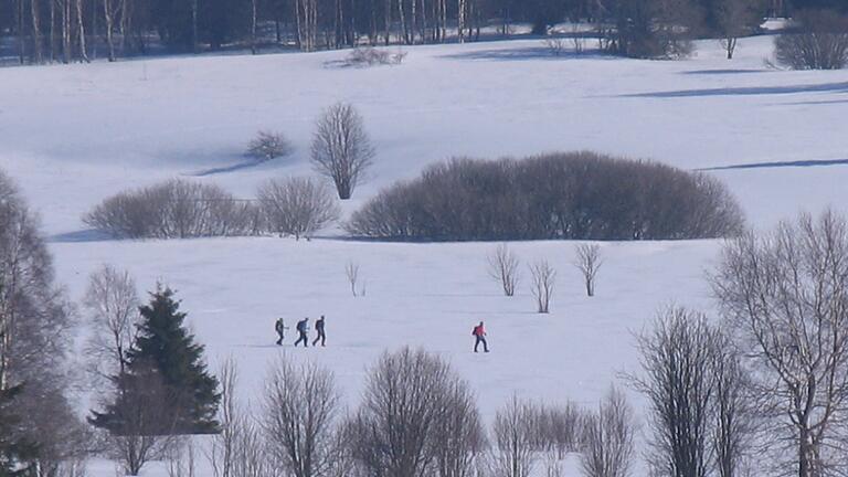 Querfeldein mit Schneeschuhen durch das Naturschutzgebiet. Solche Störungen der empfindlichen Natur sind in schneereichen Wintern an der Tagesordnung.&nbsp; &nbsp;