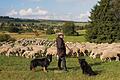 Lange Rhön Schäferidylle.JPG       -  Die Rhön kann mit einer tollen Landschaft punkten. Aber ohne Arbeitsplätze, gute Bildungschancen und eine attraktive Infrastruktur kann man keine jungen Familien in die Region locken.