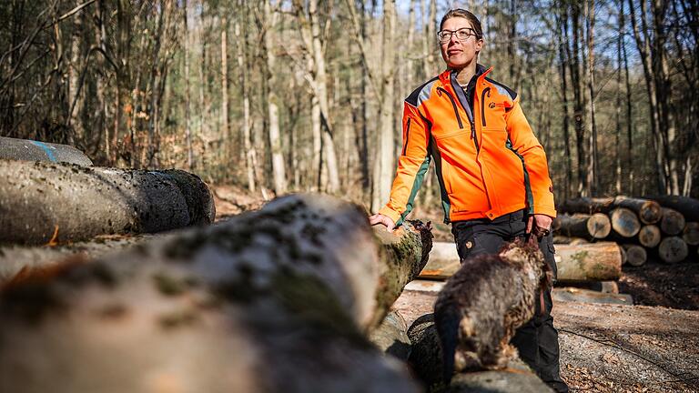 Barbara Ernwein ist seit einem Jahr Leiterin des Forstbetriebs Ebrach im Steigerwald.