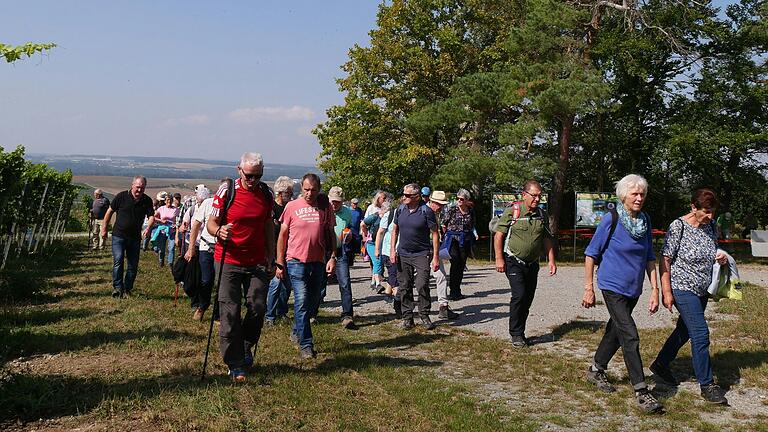 In der Nähe der Teufelshütte und der Erntedanksäule hatten die Wanderfreunde der DJK einen schönen Blick auf die Landschaft mit seinen Weinbergen, Feldern und Wäldern.