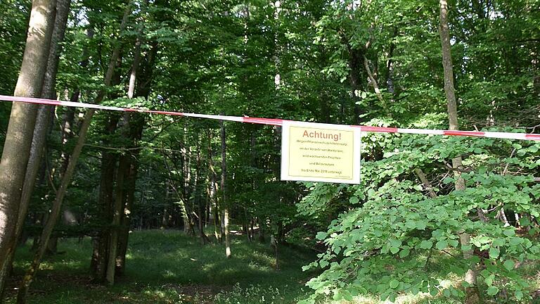 Die Waldstücke, in denen das Pflanzenschutzmittel Mimic gegen den Schwammspinner ausgebracht wurde, sind mit Absperrbändern versehen. Die Waldstücke, in denen das Pflanzenschutzmittel Mimic gegen den Schwammspinner ausgebracht wurde, sind mit Absperrbändern versehen.