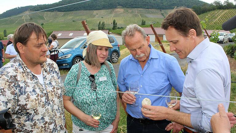 Im Juni 2023 schaute Ludwig Hartmann (rechts), der Grünen-Fraktionschef im Bayerischen Landtag, auf einen Besuch in den Iphöfer Weinbergen vorbei.