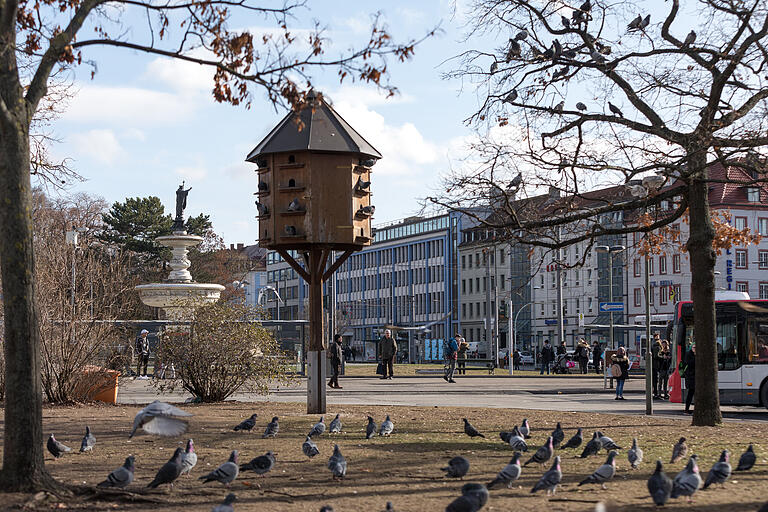 Tauben tummeln sich am Bahnhofsplatz in Würzburg.