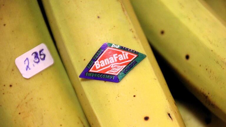 Aktionswochen: Im Februar gibt es BanaFair-Bananen im Kitzinger Weltladen. Aktionswochen: Im Februar gibt es BanaFair-Bananen im Kitzinger Weltladen.