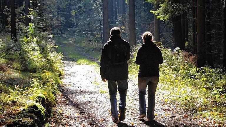 Der Spessart lädt auch im Herbst zum Wandern ein.