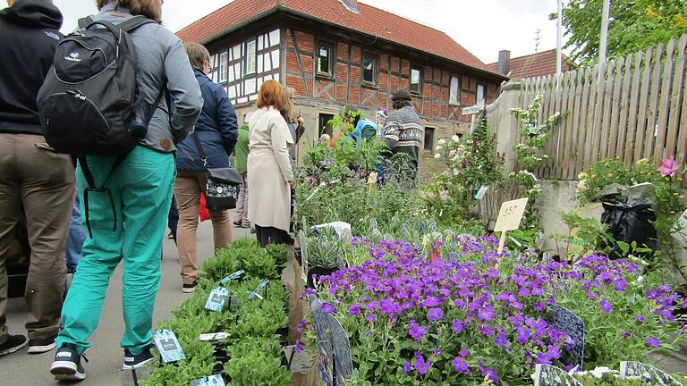 Rund um Pflanzen und den Garten dreht sich ein Großteil des Angebots der Pflanzen- und Gartenbörse in Rügheim (Archivfoto). In diesem Jahr findet die Pflanzen- und Gartenbörse am 28. April statt.