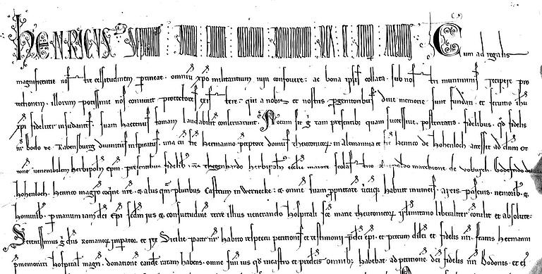 In dieser Urkunde bestätigt König Heinrich (VII.) die Schenkung der Burg Werneck von 1223.