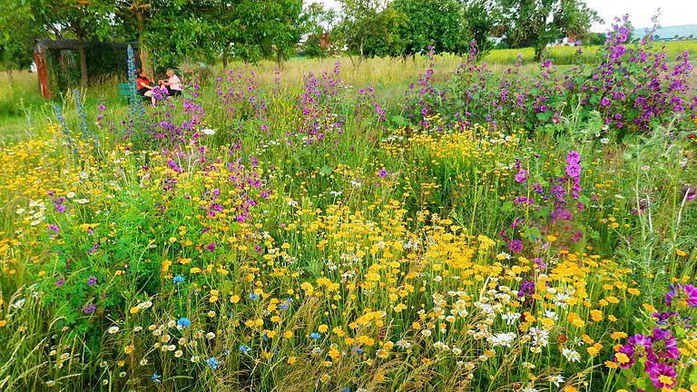 Naturnahe Gärten mit vielfältigen Strukturen, Gehölzen und Stauden, wilden Ecken und blühenden Pflanzen sind Oasen für Mensch und Tier. Naturnahe Gärten mit vielfältigen Strukturen, Gehölzen und Stauden, wilden Ecken und blühenden Pflanzen sind Oasen für Mensch und Tier.