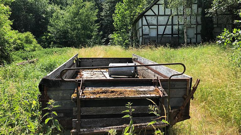 Hüfthoch wachsen in dem ehemaligen Tierparkgelände bei Sulzfeld Gras und Brenneseln. Noch ist nicht entschieden, ob das Gelände künftig als Outdoor- und Survival-Camp genutzt werden kann. Hüfthoch wachsen in dem ehemaligen Tierparkgelände bei Sulzfeld Gras und Brenneseln. Noch ist nicht entschieden, ob das Gelände künftig als Outdoor- und Survival-Camp genutzt werden kann.