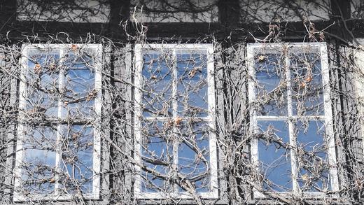 Überwuchert: Dass die Gebäude auf dem RMD-Gelände in Steinbach seit Jahren ungenutzt sind, lässt dieses Bild erkennen. Es zeigt eine Fensterfront des Verwaltungsgebäudes. Wie es mit dem Areal weitergeht, ist derzeit unklar. Die Suche nach einem Käufer läuft. Überwuchert: Dass die Gebäude auf dem RMD-Gelände in Steinbach seit Jahren ungenutzt sind, lässt dieses Bild erkennen. Es zeigt eine Fensterfront des Verwaltungsgebäudes. Wie es mit dem Areal weitergeht, ist derzeit unklar. Die Suche nach einem Käufer läuft.