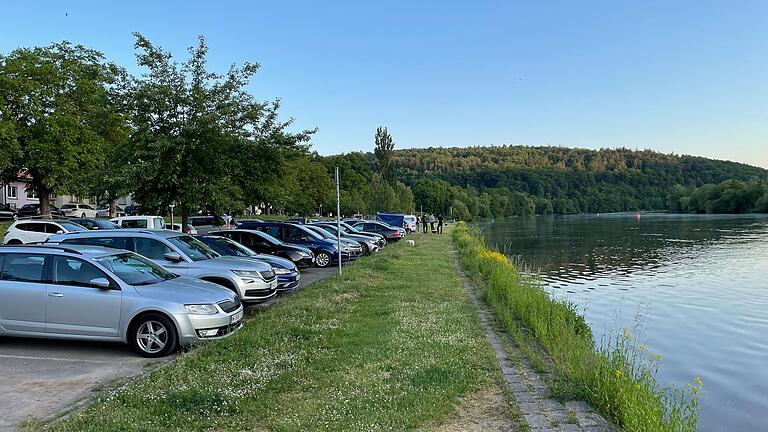 Hier soll künftig der Radweg verlaufen, wenn es nach dem Willen des Stadtrats geht. Dann könnte es Eingriffe in die mainseitige Parkreihe geben. Hier soll künftig der Radweg verlaufen, wenn es nach dem Willen des Stadtrats geht. Dann könnte es Eingriffe in die mainseitige Parkreihe geben. 