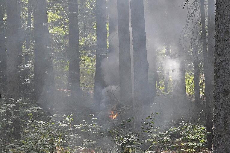 In den vergangenen Jahren ist die Gefahr von Wald- und Vegetationsbränden gestiegen. Deshalb bereiten sich die Feuerwehren auch auf solche Einsätze vor. In den vergangenen Jahren ist die Gefahr von Wald- und Vegetationsbränden gestiegen. Deshalb bereiten sich die Feuerwehren auch auf solche Einsätze vor.