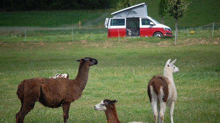 Das ländliche Flair gefällt den Campinggästen. Das ländliche Flair gefällt den Campinggästen.